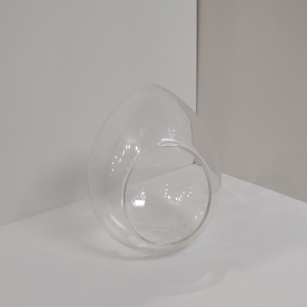 Unique Clear Glass Vase